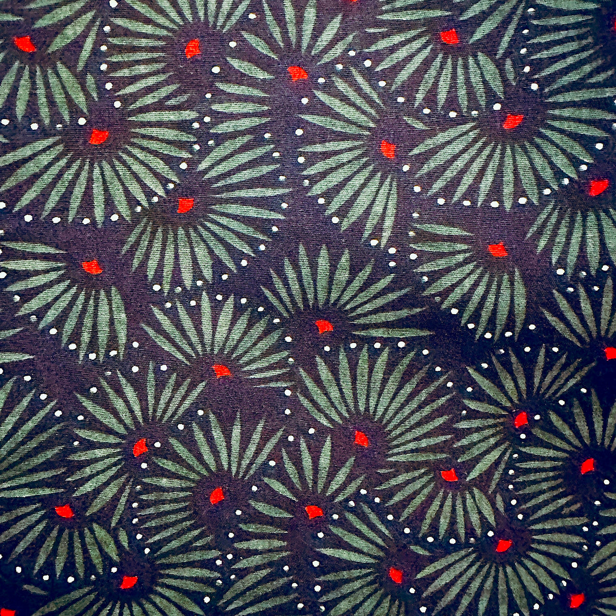 Dark Peacock | Regular