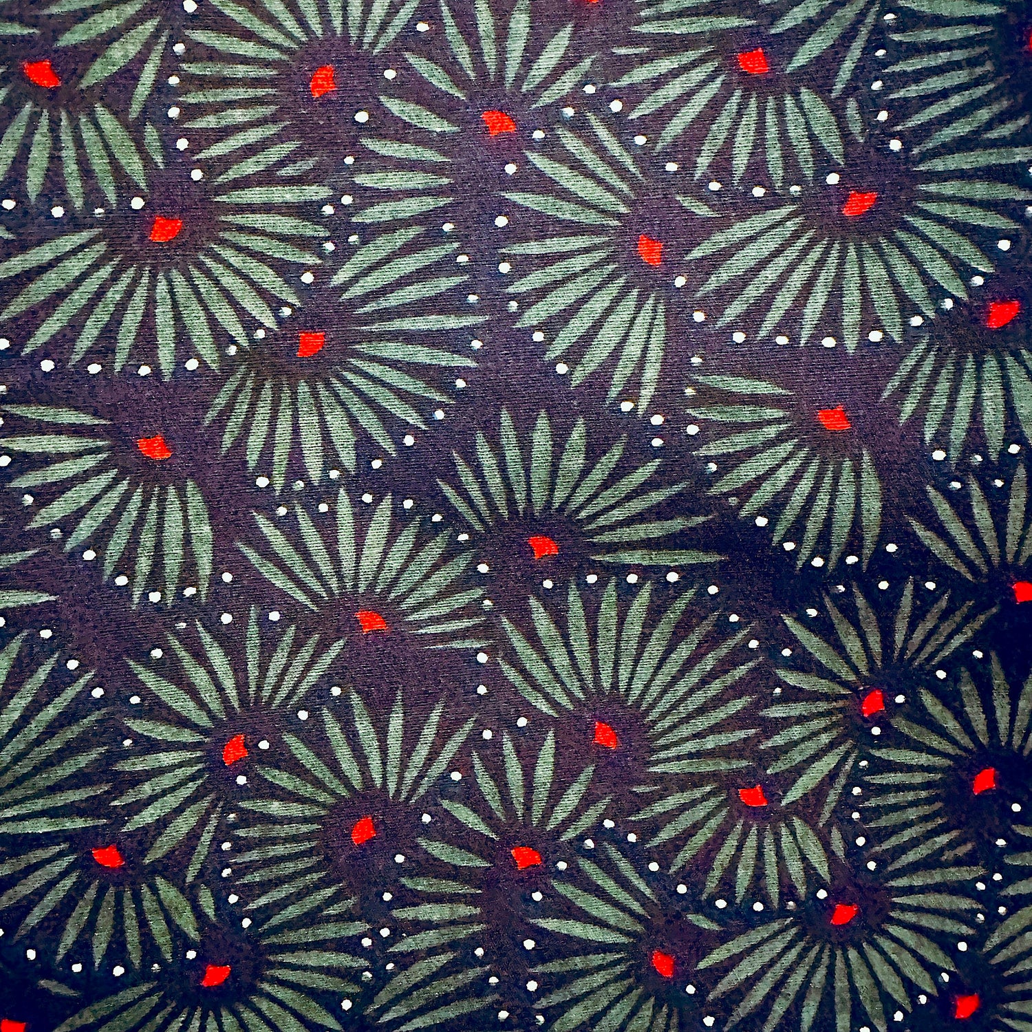 Dark Peacock | Regular